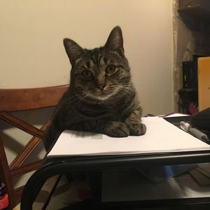 Meet your Posher, Beverly